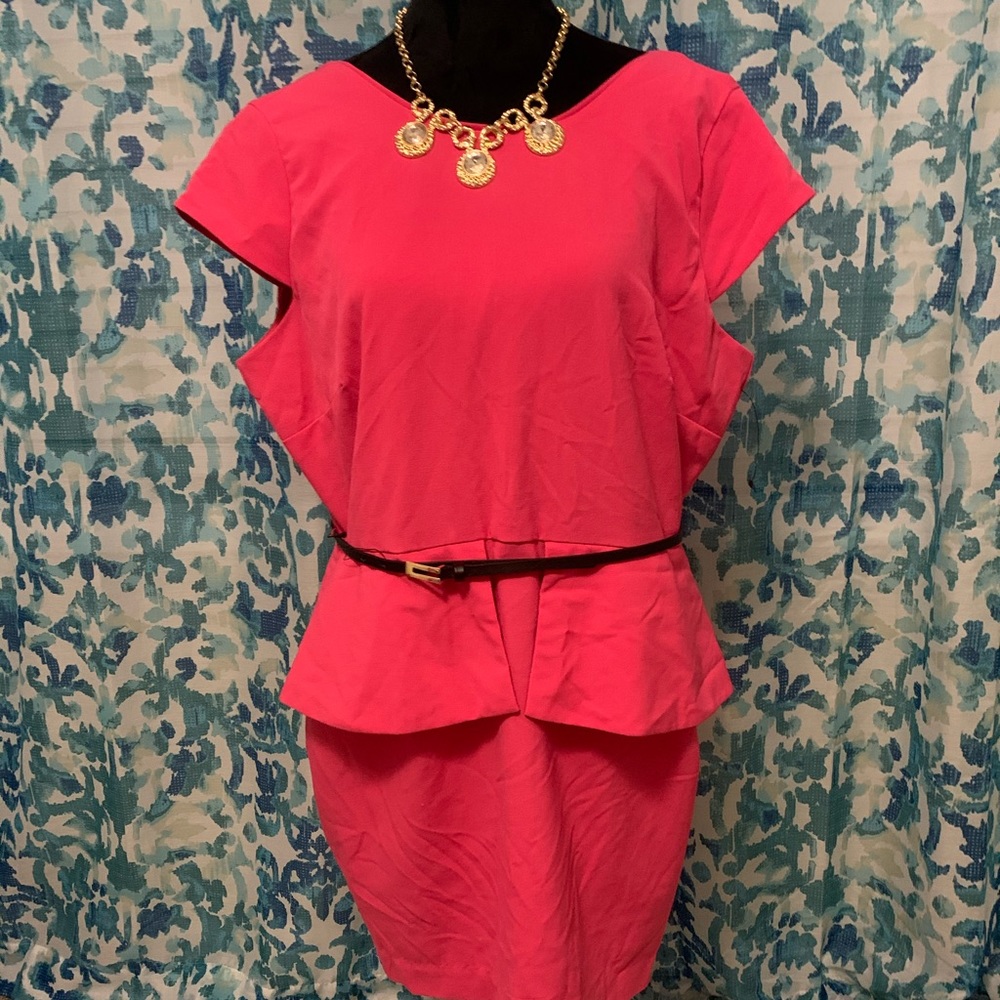 A Brand New Size 16 petite Dress